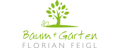 florianfeigl_logo.webp